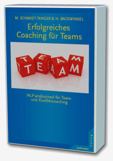 Teamcoaching Vorgehensweise